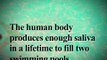 10 Amazing Facts About The Human Body