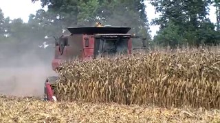 Case IH 9230 Axial-Flow Combine on Tracks