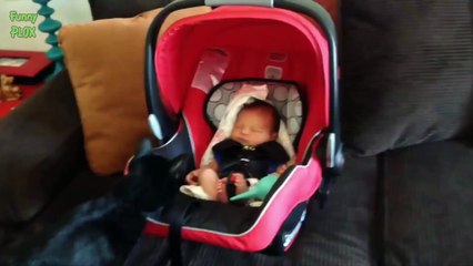 Cats Meeting Babies for the First Time Compilation 2016