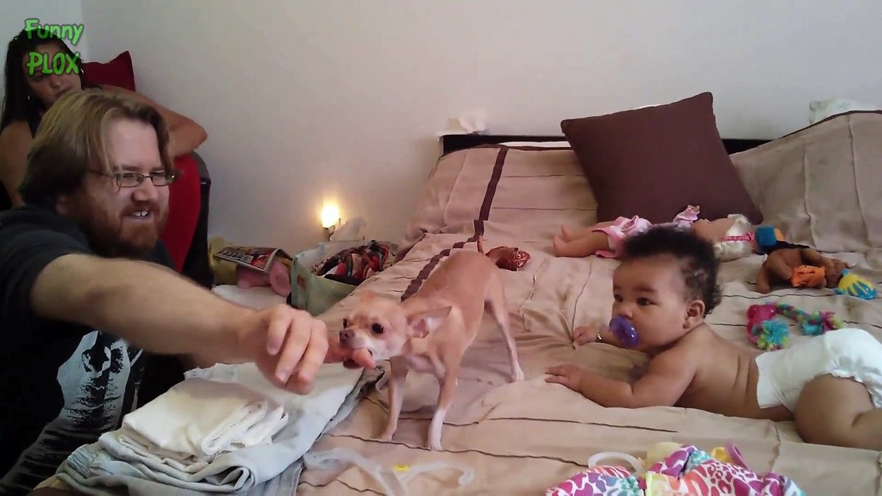 Funny Dogs Protecting Babies Compilation 2016