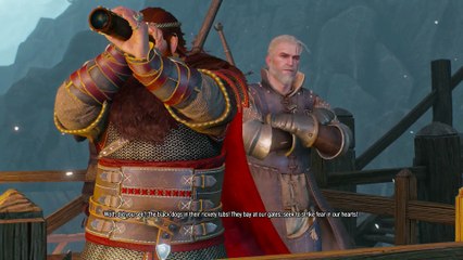 THE WITCHER 3 WALKTHROUGH PART 220 - THE SUNSTONE