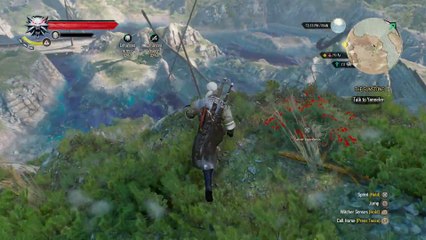 THE WITCHER 3 WALKTHROUGH PART 222 - THE SUNSTONE & FISTS OF FURY SKELLIGE