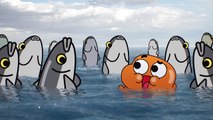 Darwin på vei | Gumball | Norsk Cartoon Network