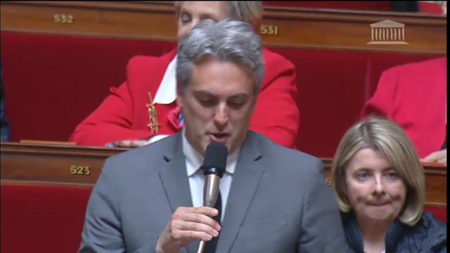 Question au Gouvernement mardi 29 mars 2016 : le Député S. Denaja interroge la Ministre Ségolène Royal (pollution méditerranée et croissance bleue)