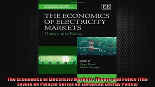 The Economics of Electricity Markets Theory and Policy The Loyola de Palacio Series on