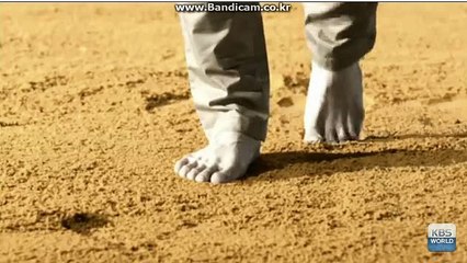 #[방문: totobksoft.com]토토 사이트 제작, 임대, 판매 카톡: haricuty스카이프:haricuty