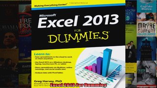 Excel 2013 For Dummies