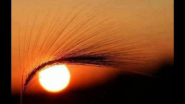 Muhteşem Perspektifle Çekilmiş Fotoğraflar