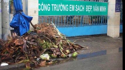 016. Những hình ảnh hài hước HD - Phần 5 - The Best Music Bomba Pa Siempre