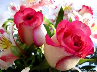 Teri Dua Se Lyrics - Jeena My Heart Goes Duma Duma (2006)