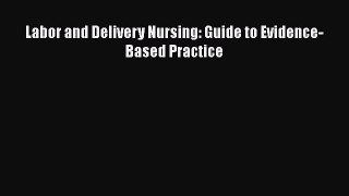 PDF Labor and Delivery Nursing: Guide to Evidence-Based Practice Free Books