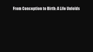Download From Conception to Birth: A Life Unfolds  EBook