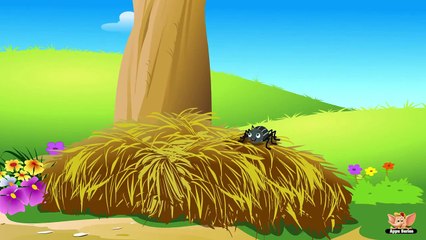 Animal Facts in Hindi - Spider