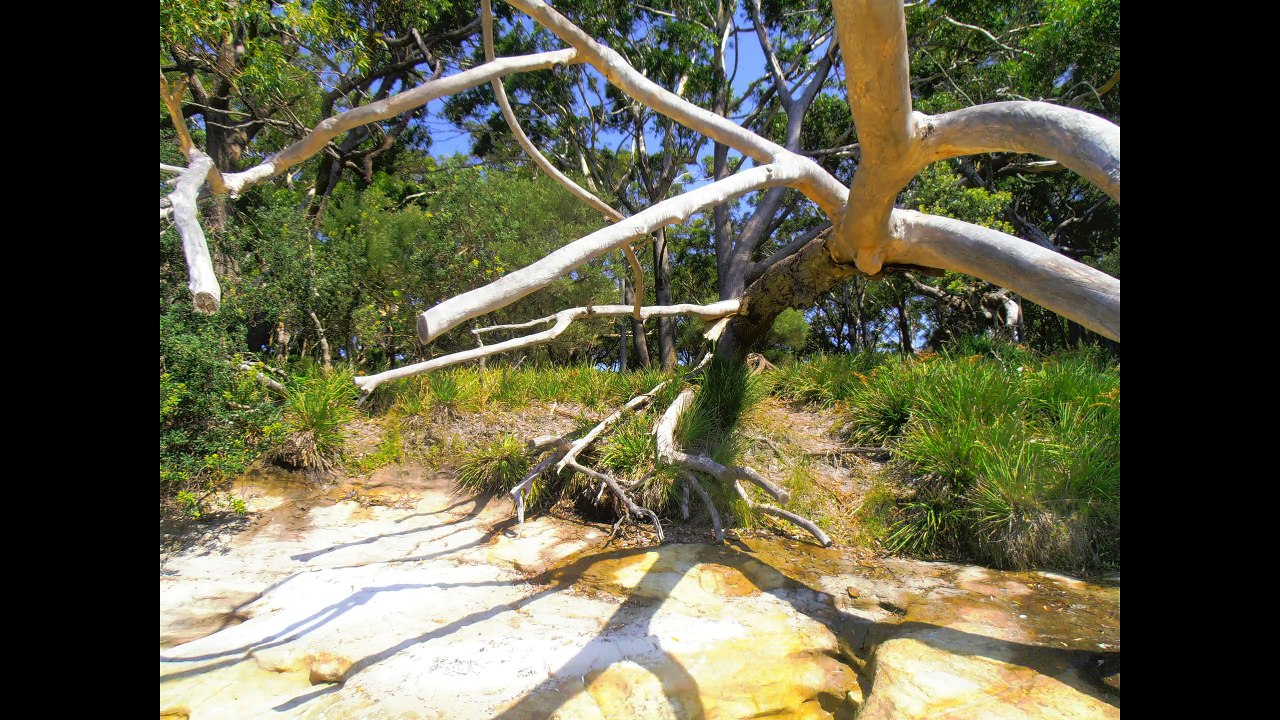 Jervis bay