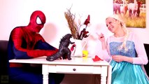 Pink Spidergirl & Spiderman vs T Rex / Godzilla! w/ Frozen Elsa Fun Superhero Movie in Rea