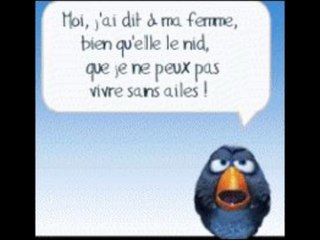 Mon Zozio - C'est le printemps