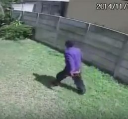 Um cão de guarda surpreendente