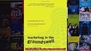 Marketing in the Groundswell