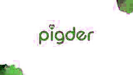 31. Angry Birds Stella – Dahlia finds her match on PIGDER!