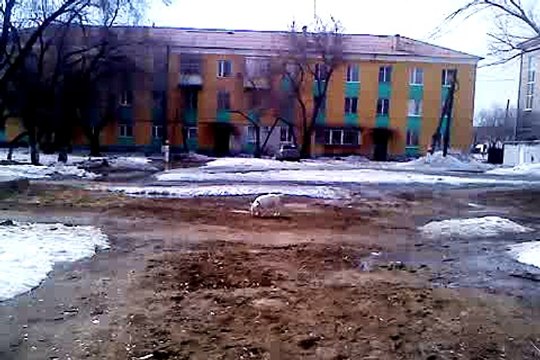 Ура! Весна пришла!