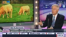 Idées de placements: Investir dans les vaches laitières - 24/03