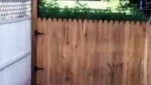 Il filme la clôture qu'il vient de construire pour que son chien ne s'enfuit plus. Ce qui suit est à mourir de rire !