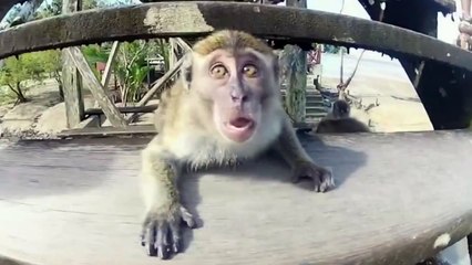 Лучшие Приколы в Coub #137 В СССР секса не было?