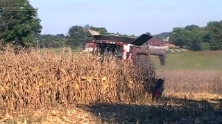 Case IH 9230 Axial-Flow with a 12 Row Geringhoff Rota Disc Elite Corn Head