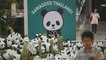 Los 1600 pandas de WWF acaban su gira en Tailandia