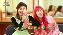 스타더스트 뮤비뱅크 시즌2.E50.160329