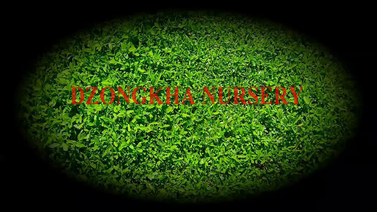 dzongkha nursery rhymes
