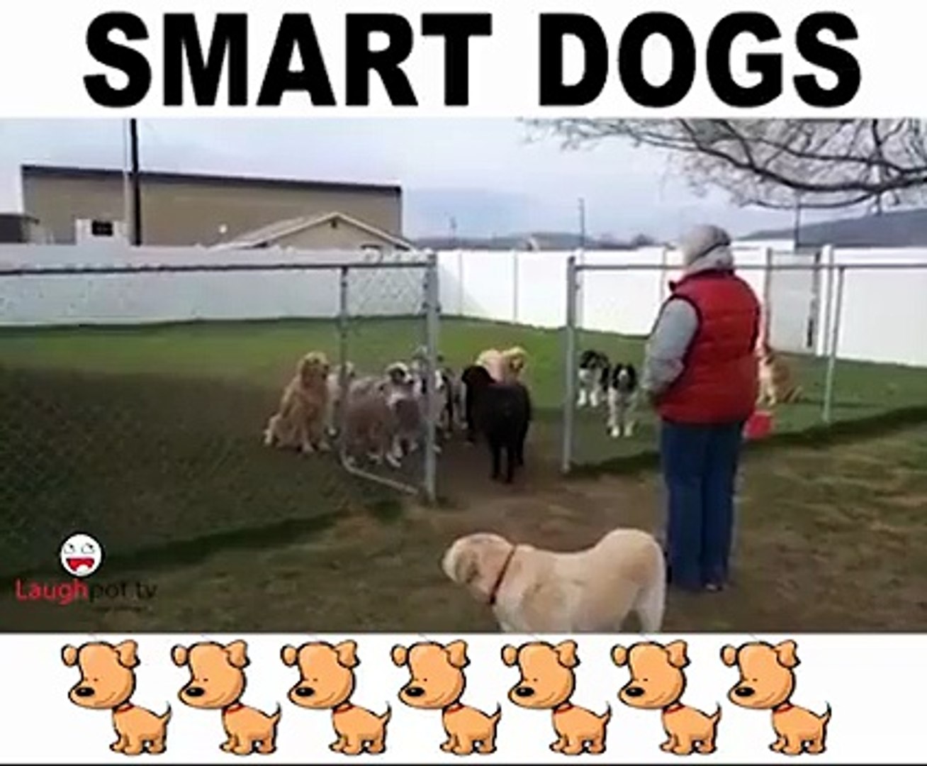 Intelligent Pets