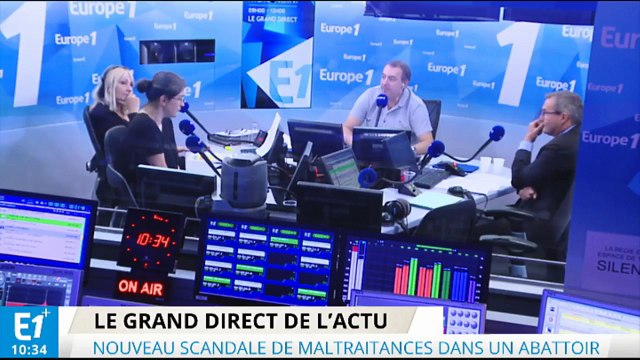 Scandale des abattoirs : ils sont le bras armé de notre porte-monnaie