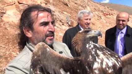 Tedavileri Tamamlanan 2 Kartal Özgürlüğe Kanat Çırptı