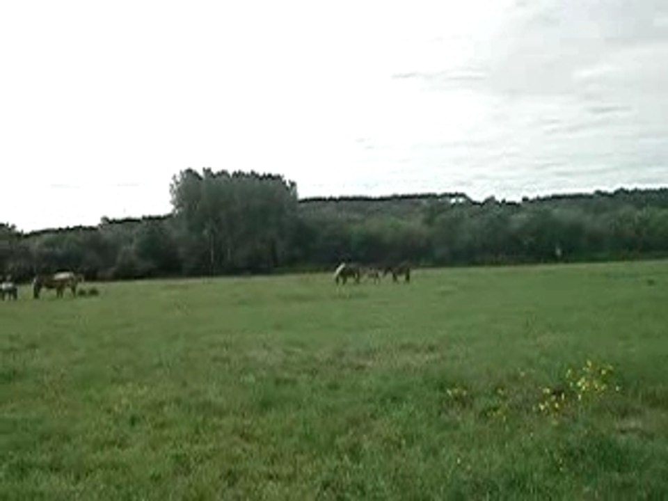 2 mai dans les barthes 067