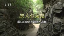 [youku] シリーズ世界遺産100 （東京1） - 2011年01月25日（火） [720p]
