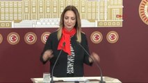 Aylin Nazlıaka TBMM'de Basın Toplantısı Düzenledi 1