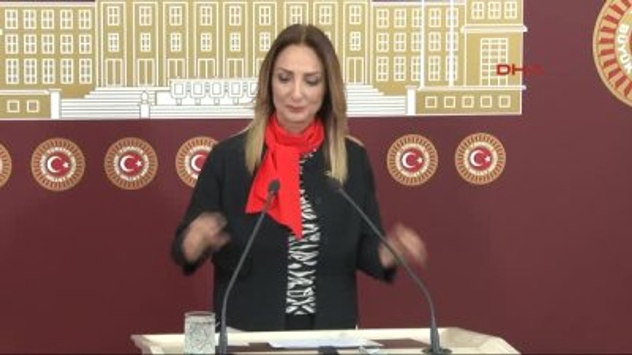 Aylin Nazlıaka TBMM'de Basın Toplantısı Düzenledi 1