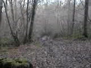 vtt vtt