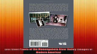 Lost Steel Plants of the Monongahela River Valley Images of Modern America