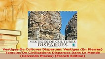 PDF  Vestiges De Cultures Disparues Vestiges En Pierres Temoins De Civilisations Disparues Read Full Ebook