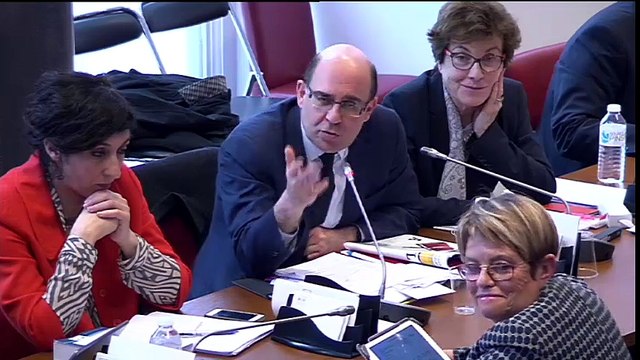 Mon intervention à la Commission des Affaires sociales: Organisations représentatives des salariés sur le PL Travail