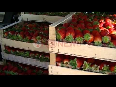 Fier, dyfishohen eksportet bujqësore në 2016, destinacion Kosova dhe Ukraina- Ora News