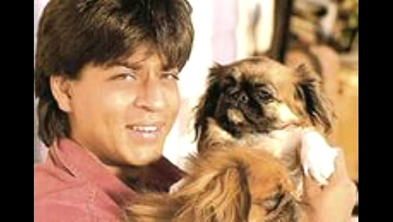 вот такой - Shah Rukh Khan