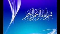 Arapça Gramer Dersleri-14 Cem-i Müzekker Salimin İrabı