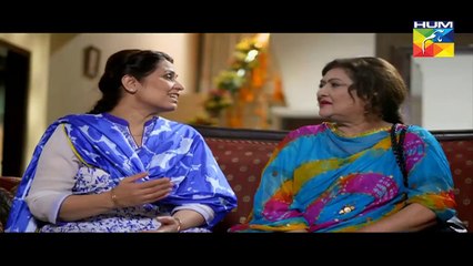 Haya Kay Daman Main Episode 1 HUM TV Drama 30 March 2016 P2