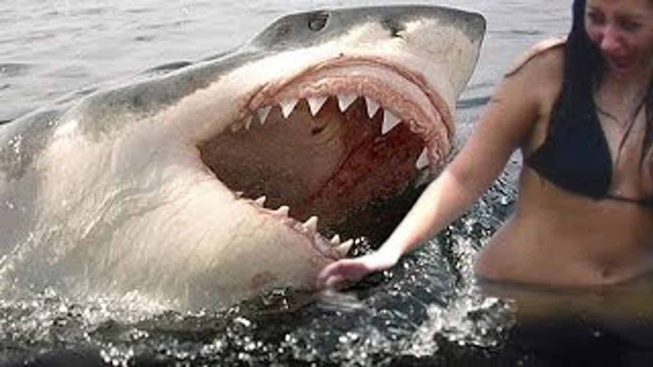 World's Top 5 Most Amazing Near Death Greatest Videos MUST SEE