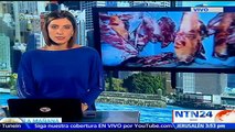 Análisis NTN24 | ¿Consumen los mexicanos carne de caballo proveniente de mataderos ilegales?