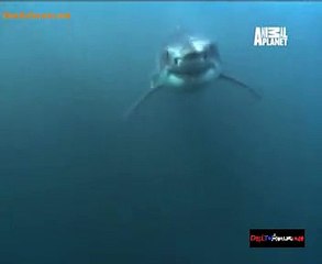 Be The Creature 24th October 2014 Video Watch Online pt2