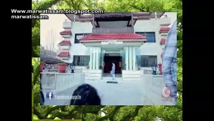 حالة جديدة من الحرمي الحرمي مع وليد مقداد من طيور الجنة 🎶